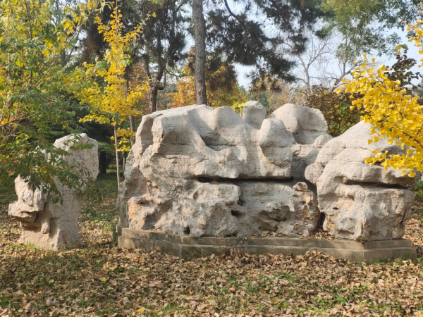 校園守望者(東區篇) 校園守望者(東區篇)