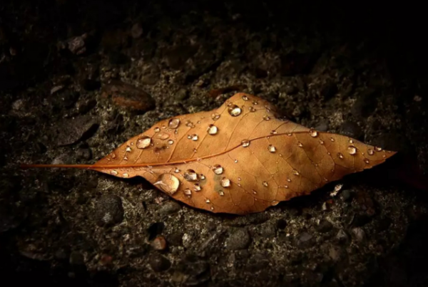 長相好看的女人，都有這些特點