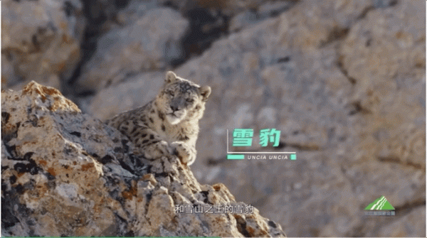 中國面積最大的國家公園,這片“人類禁區”終於限時開放了 中國面積最大的國家公園,這片“人類禁區”終於限時開放了