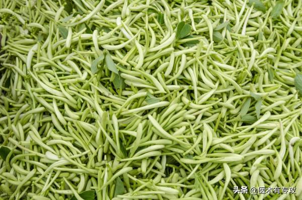 清熱解毒第一藥——金銀花，你瞭解嗎？