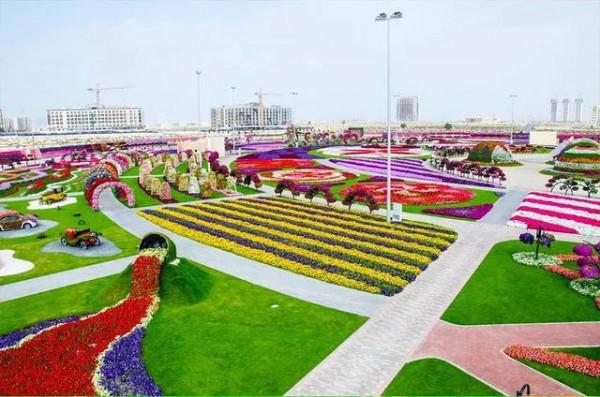 分享，最美花卉公園，收藏了