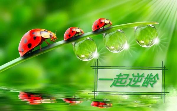 十條幹貨，做到就能“每逢佳節瘦三斤”，來挑戰一下嗎