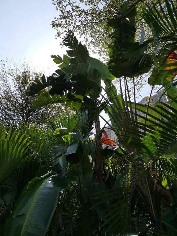 人類生命的起源探討 人類生命的起源探討