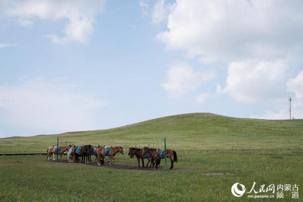 “天邊草原”烏拉蓋喊你來賞美景