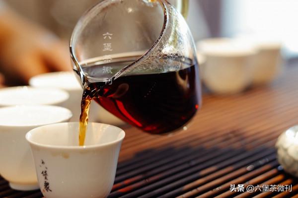 不要等到老了,才開始喝六堡茶 不要等到老了,才開始喝六堡茶