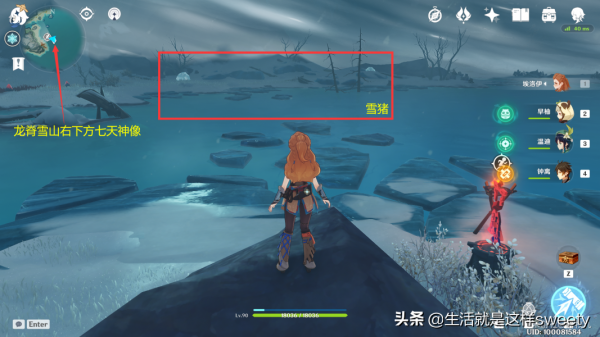 原神四方之網可捕捉小動物位置彙總一覽