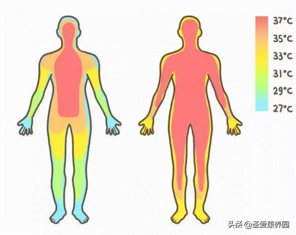 “溫度”決定壽命?這7個身體最喜歡的溫度,必須要知道 “溫度”決定壽命?這7個身體最喜歡的溫度,必須要知道
