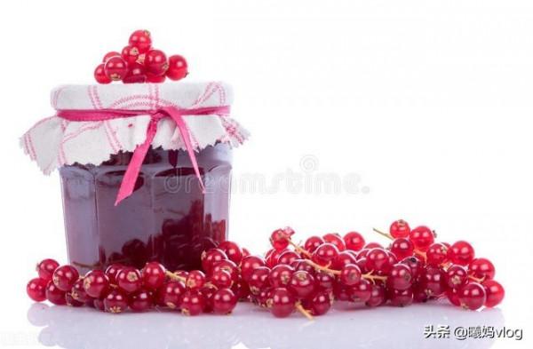 按克賣的網紅水果——紅醋栗，聽名字就很酸，最高價卻賣到近百元