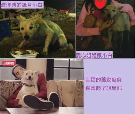 這十位明星都和經紀人在一起,姐弟戀濃度超標,有的祝福有的嘔吐 這十位明星都和經紀人在一起,姐弟戀濃度超標,有的祝福有的嘔吐