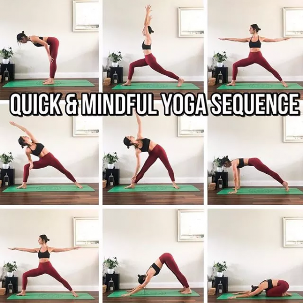 哈他瑜伽序列編排技巧，另附25個經典序列圖解，收藏級