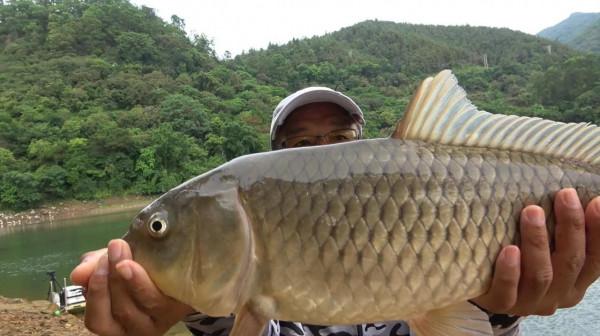 野釣，為什麼很多人喜歡釣大魚，卻很少人能釣到呢？