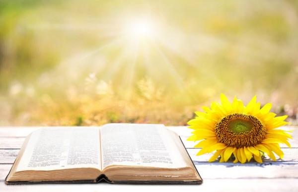 智者，人生三樂即是福