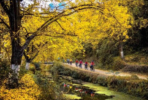 11月，看湖北，疊翠流金！