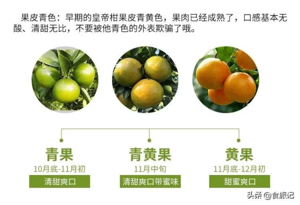 沒想到這麼不起眼的綠皮柑，口感竟然這麼神仙