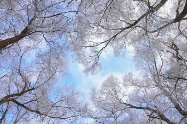 新疆冬景，一半柔情，一半狂野