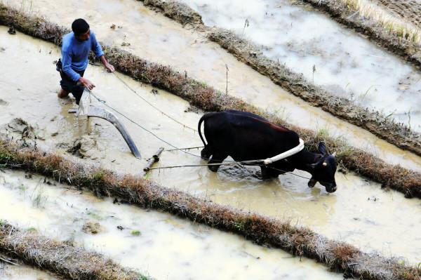 這樣去探究三星堆，結論很可怕，但是也非常真實