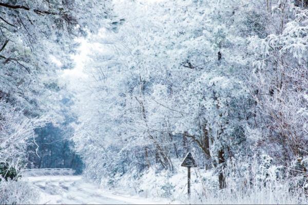 本地人年年必去!避世山野、高山滑雪、雪地露營,私享度假寶地 本地人年年必去!避世山野、高山滑雪、雪地露營,私享度假寶地