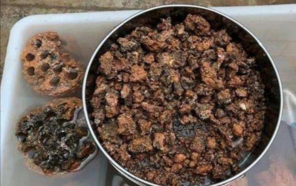 花盆下面填一層“顆粒”,疏鬆透氣不積水,根系生長健壯 花盆下面填一層“顆粒”,疏鬆透氣不積水,根系生長健壯