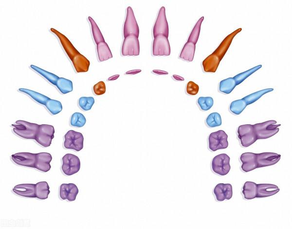 口腔不是暴力行業