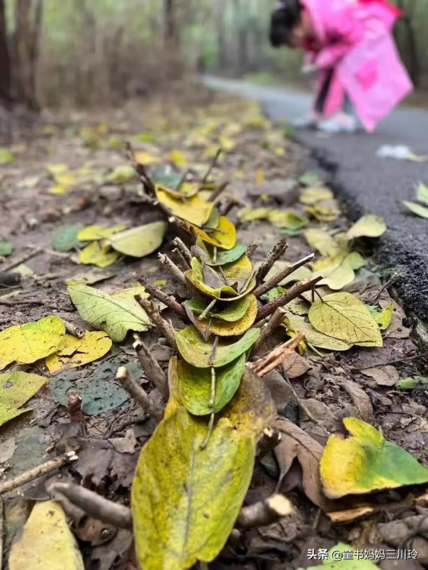 家門口的自然課堂：10個家庭秋色遊戲，好玩得有些意外