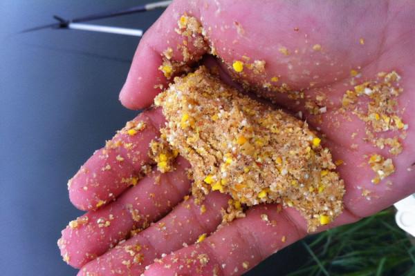 選點打窩的技巧，學會了這些，次次爆護不是夢