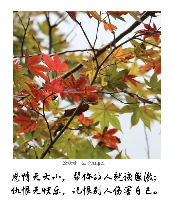 植物之36技&mdash;&mdash;熱