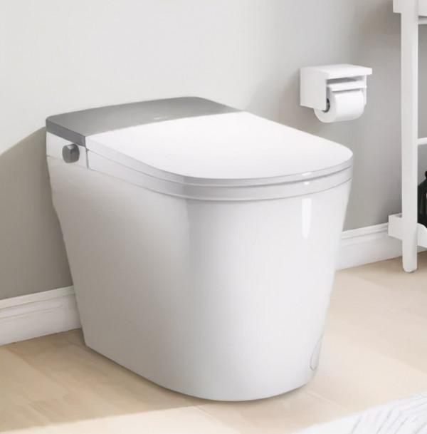 只買貴的,不買對的?智慧馬桶到底是不是智商稅? 只買貴的,不買對的?智慧馬桶到底是不是智商稅?