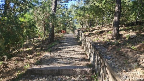 五百年盤龍古松.與秦Plus Dmi探訪千年幽幽古剎！