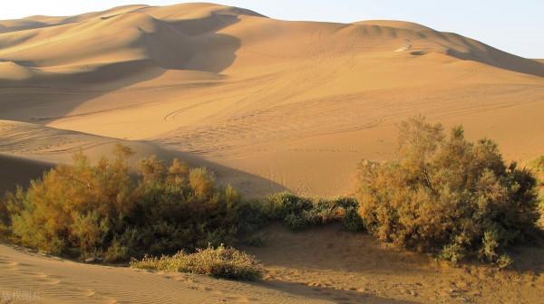 90年代我在大西北喀喇崑崙山腳下戈壁灘二十年間的生活經歷