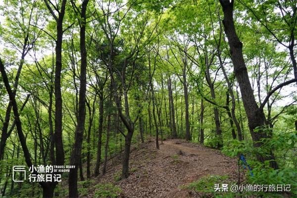 妹子西安秦嶺穿越,深山老林偶遇終南山隱士,他們的生活到底如何 妹子西安秦嶺穿越,深山老林偶遇終南山隱士,他們的生活到底如何