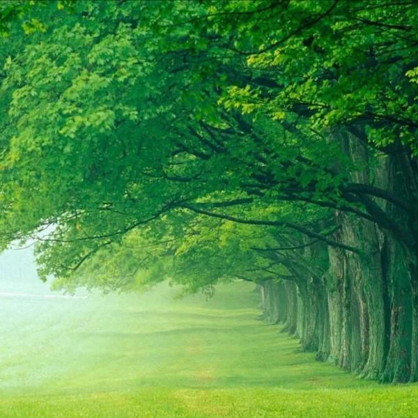 再說炒墊腳踩腳是搬弄是非挑撥離間破壞女排團結添國家隊整合困難