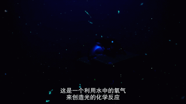 豆瓣9.3,又一部超高分紀錄片來了,威爾·史密斯帶你遊遍地球 豆瓣9.3,又一部超高分紀錄片來了,威爾·史密斯帶你遊遍地球