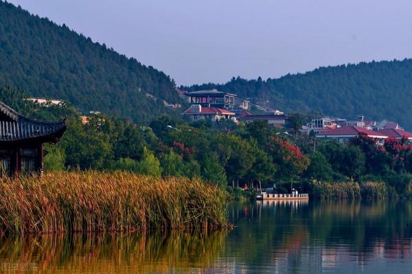 老倆口被迫住窩棚，兩個兒子卻相互推諉，老人多年前都做了什麼？