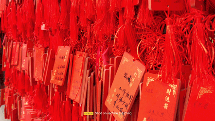 真我GT2 Pro影像測評：年輕人也可以玩得起的顯微鏡和魚眼鏡頭拍攝