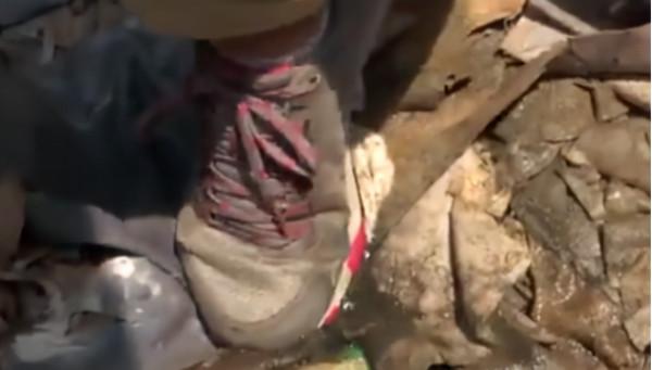 孟加拉國首都變成垃圾廠,生命之後裡沒有一條活魚 孟加拉國首都變成垃圾廠,生命之後裡沒有一條活魚