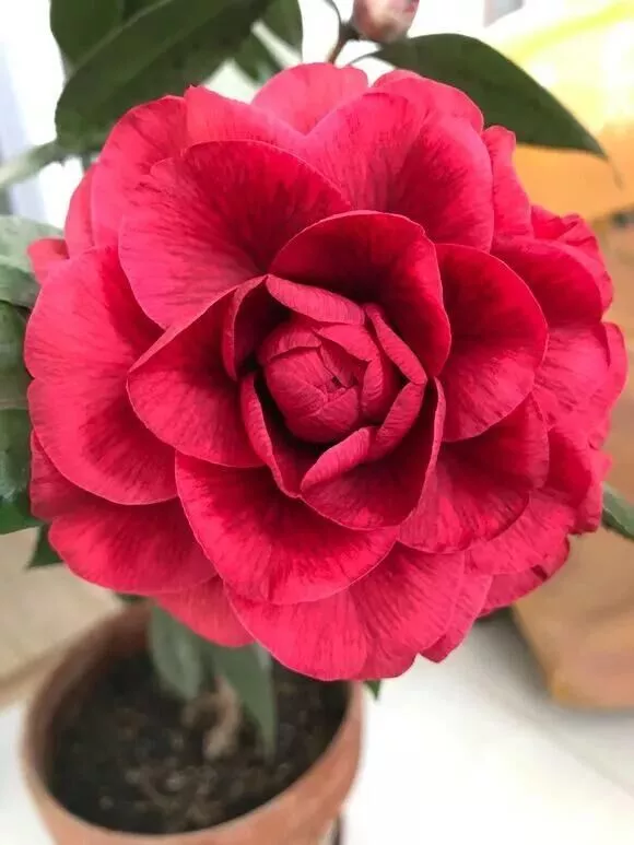 中國的“十大”，快來看看...