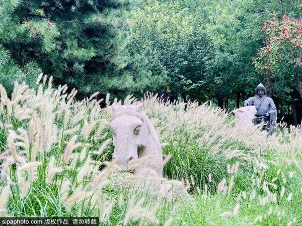 門票？不存在的！北京這些免費遺址公園，您都去過？