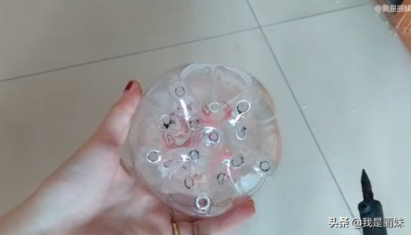 可樂瓶別扔了，這樣種蘿蔔，一年四季都有得吃，省錢又美觀