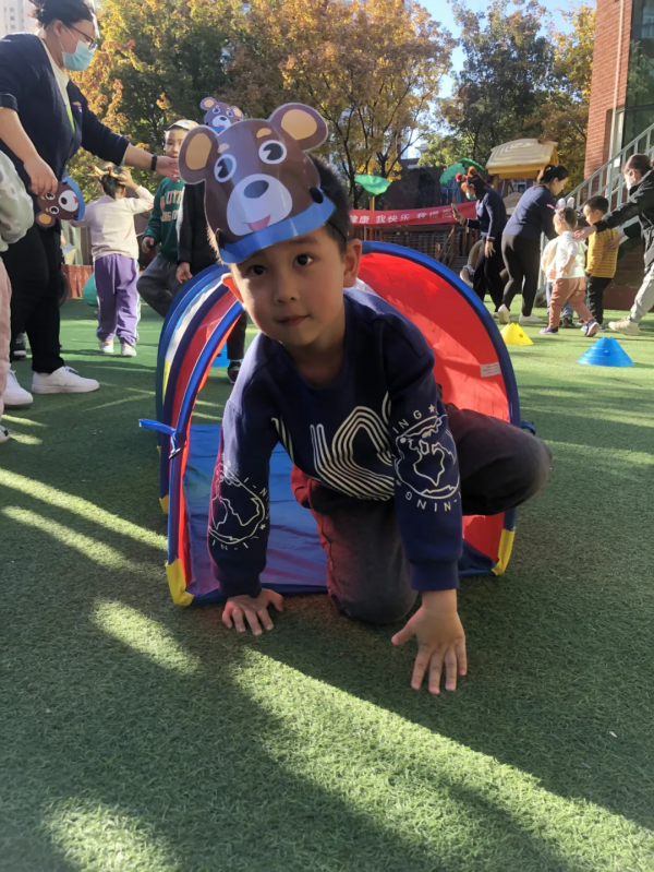 前方高萌!有一群“小動物”在這裡開起了運動會 前方高萌!有一群“小動物”在這裡開起了運動會