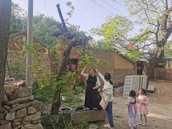 南山深處有人家