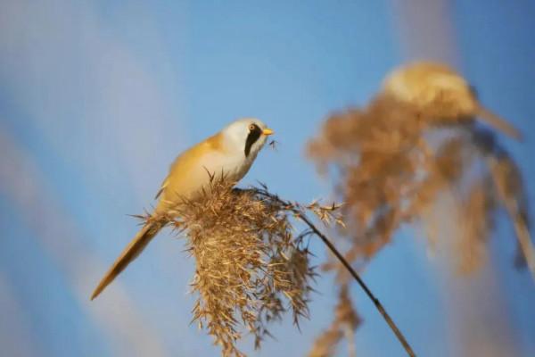 佛說，人這一生，皆是註定