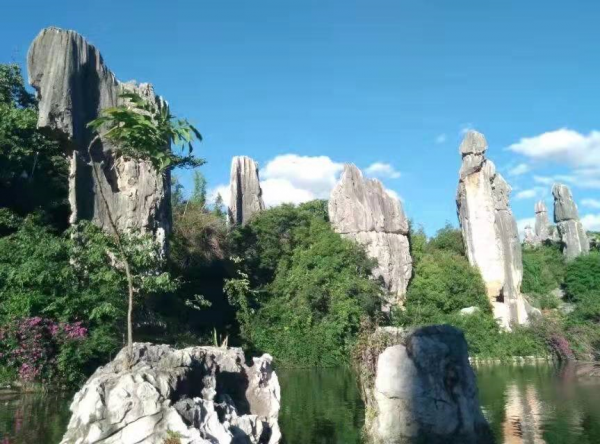 山海有歸期,相逢雲南,雲南恢復跨省旅遊您最想去哪裡? 山海有歸期,相逢雲南,雲南恢復跨省旅遊您最想去哪裡?