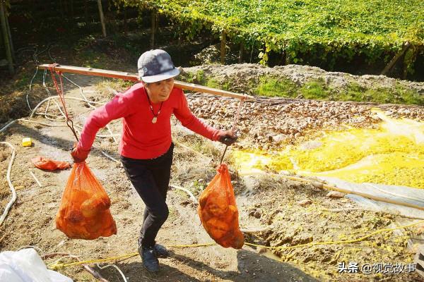 山村村民掙錢不出村，收入越高卻越後悔，看咋回事