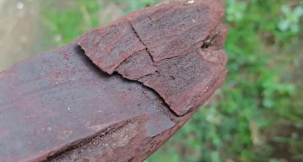 海南伽南香形質韻之美質 海南伽南香形質韻之美質