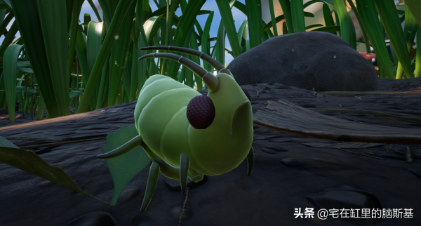 花園求生狩獵蜘蛛,《禁閉求生》告訴你縮小後有多快樂 花園求生狩獵蜘蛛,《禁閉求生》告訴你縮小後有多快樂