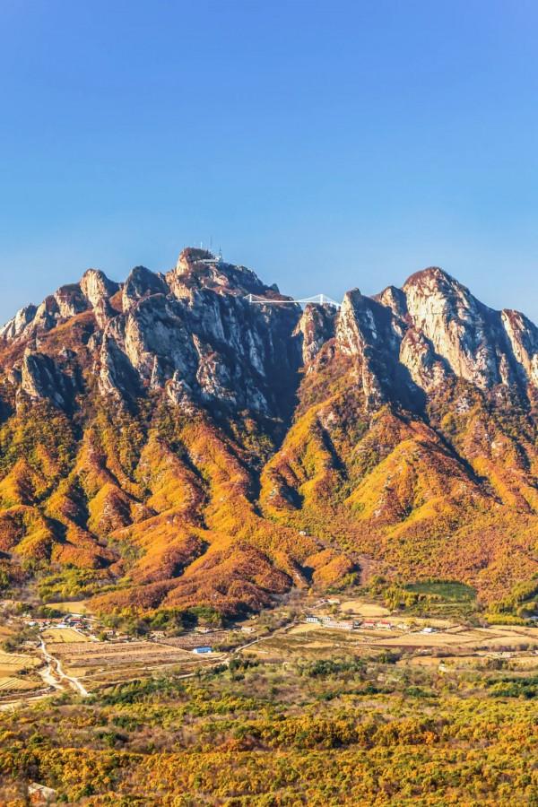 成年人玩得這麼野，小心把命都玩丟了