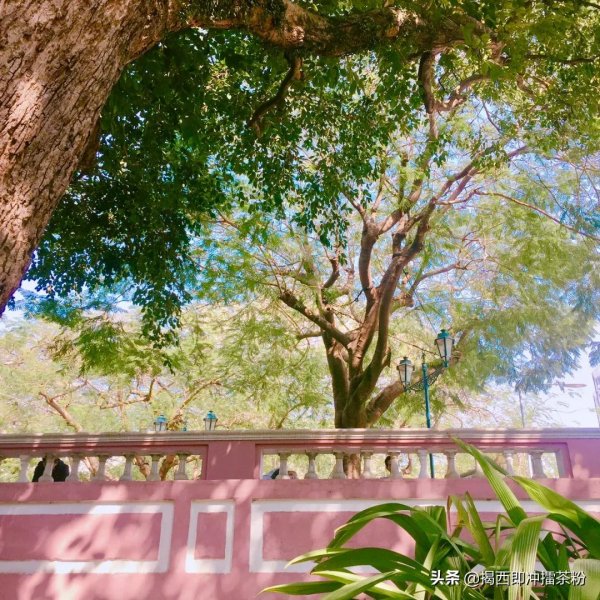 加思欄花園 加思欄花園