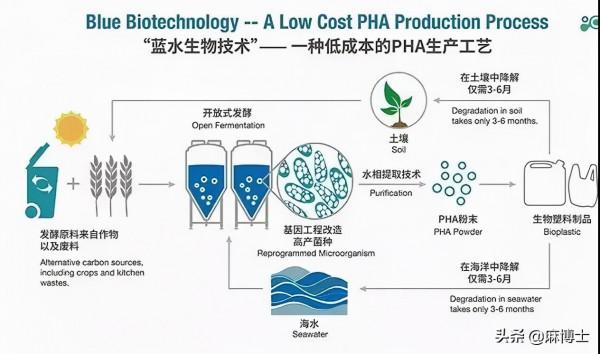 工業大麻的革命性賽道 工業大麻的革命性賽道