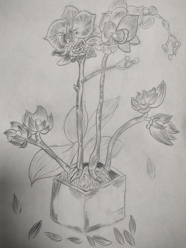 帶女兒做骨齡檢測,骨齡偏小近1歲,要不要打生長激素呢?糾結 帶女兒做骨齡檢測,骨齡偏小近1歲,要不要打生長激素呢?糾結