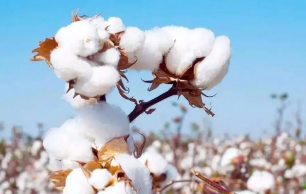 此生必去的新疆怎麼玩？看完這篇就夠了